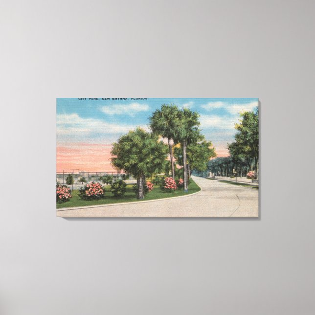 New Smyrna, Florida - Street View of City Park Canvas Print (Front)