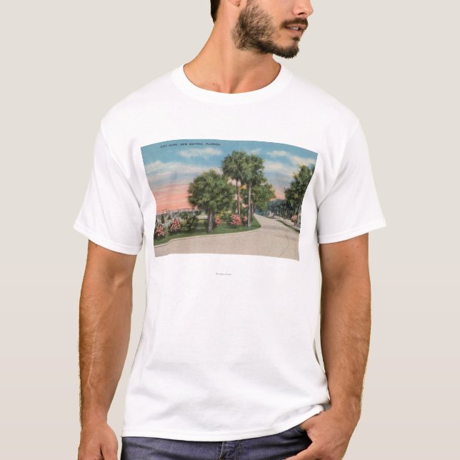 New Smyrna, Florida - Street View of City Park T-Shirt (Front)