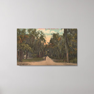 New Smyrna, Florida - View of Magnolia Canvas Print