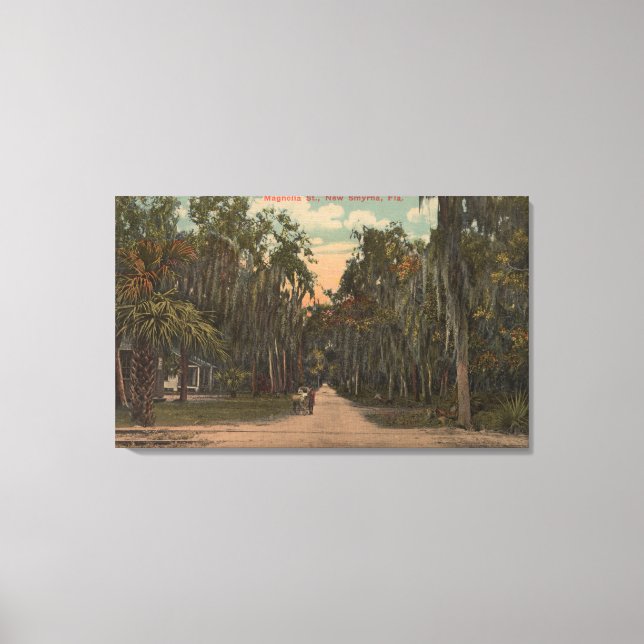 New Smyrna, Florida - View of Magnolia Canvas Print (Front)
