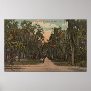 New Smyrna, Florida - View of Magnolia Poster