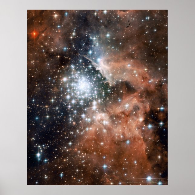 New Stars in NGC 3603 16x20 (16x20) Poster (Front)
