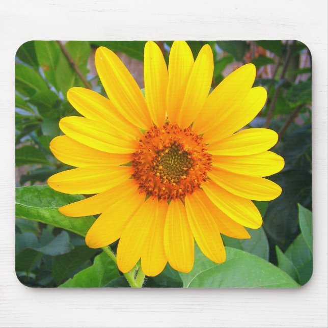 New Sunflower Mouse Mat (Front)