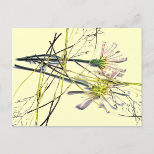 NEW VINTAGE DESIGNS POSTCARD