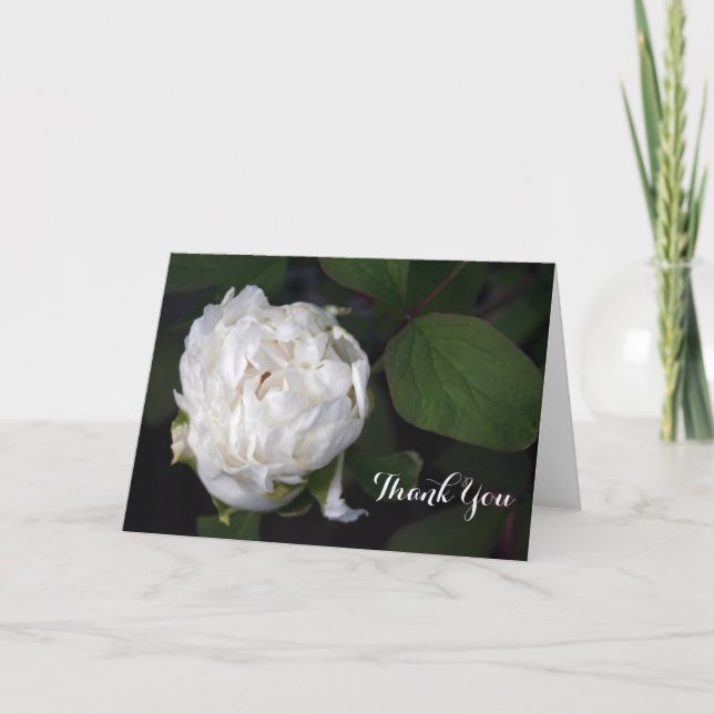 New White Peony Floral Photography Thank You Cards (Front)