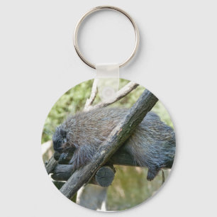 New World Porcupine Key Ring