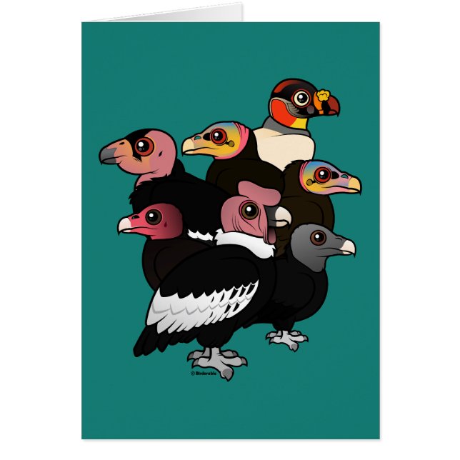 New World Vultures (Front)