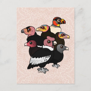 New World Vultures Postcard