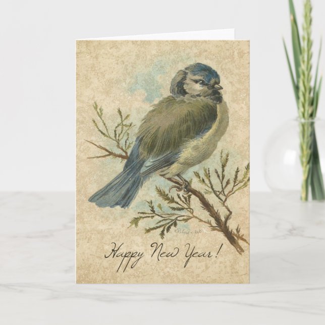 New Year, Bluetit Vintage Bird Holiday Card (Front)