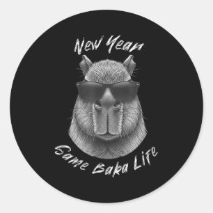 New Year Same Baka Life Capybara Joke  Classic Round Sticker