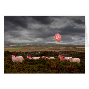 New Year sheep