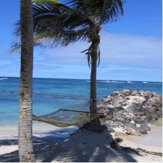 New Years Day Hammock Standing Photo Sculpture
