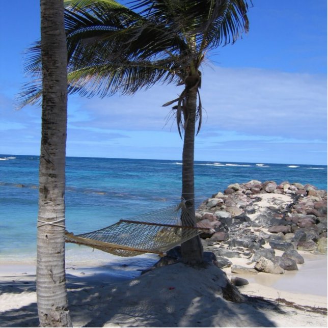New Years Day Hammock Standing Photo Sculpture (Front)