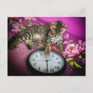New Year's Eve Clock Cat 12 Midnight Countdown Postcard