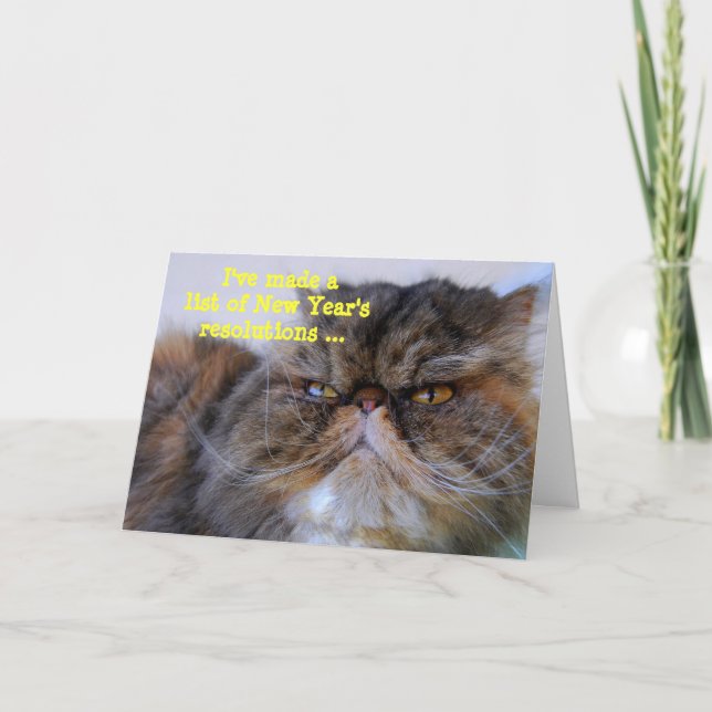 New Year's Resolutions Calico Persian Kitty Card (Front)