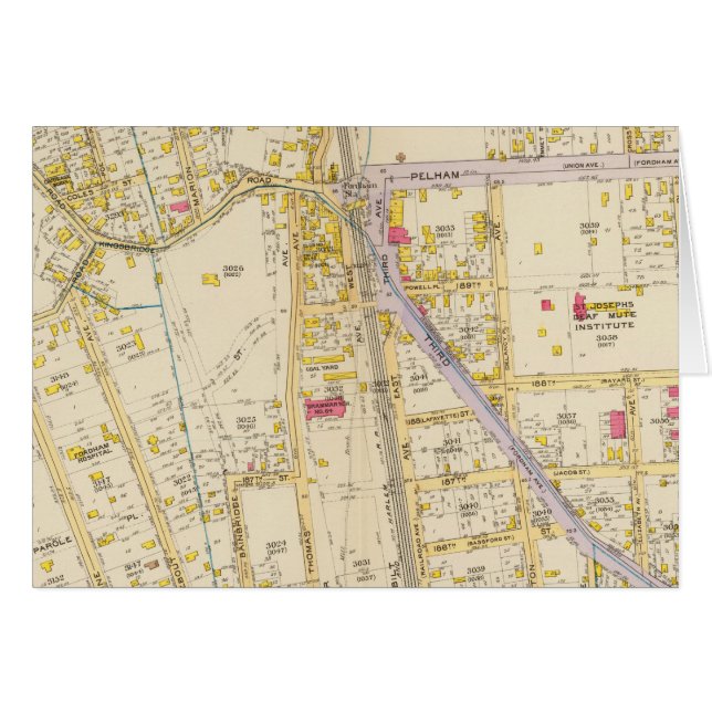 New York 21 (Front Horizontal)