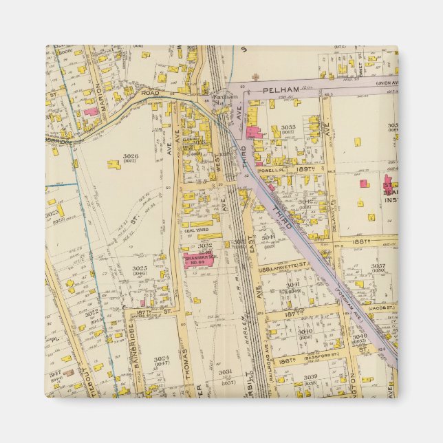 New York 21 Magnet (Front)