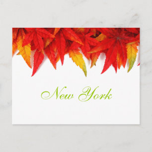 New York Autumn Leaves Postcard
