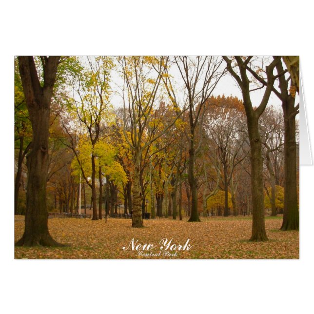 New York Card Central Park Custom Souvenir Card (Front Horizontal)