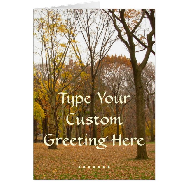 New York Card Central Park New York Souvenir Card (Front)