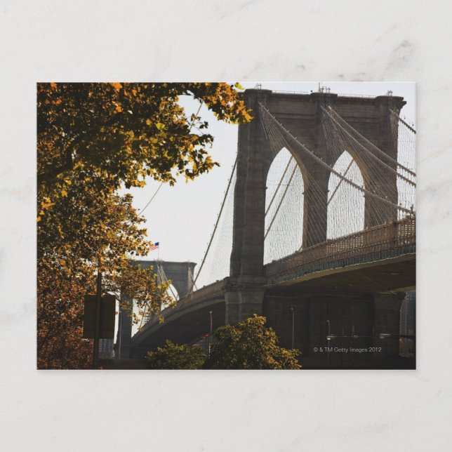 New York City 2 Postcard (Front)