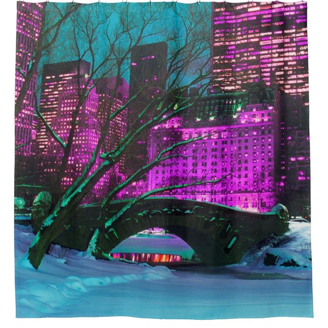 New-York City Central Park Winter Landscape Shower Curtain (Front)