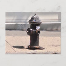 New York City Fire Hydrant Post Card