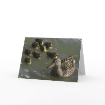 New York City Greeting Card