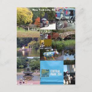 New York City, New York Postcard