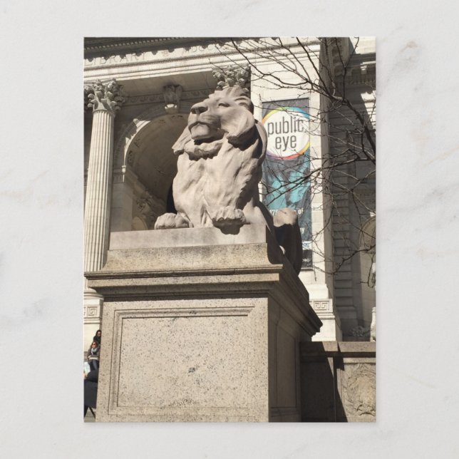 New York City NYC Public Library Lion Statue Postcard (Front)