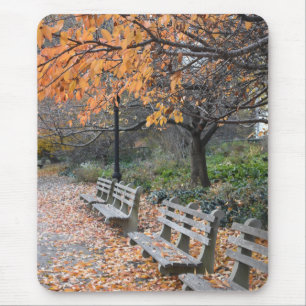 New York City Photography Autumn in Riverside Park Mouse Mat