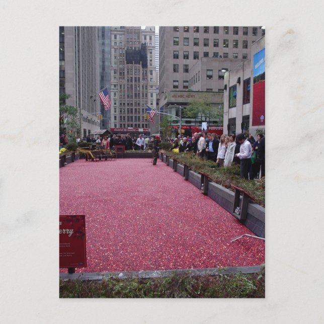 NEW YORK CITY POSTCARD (Front)