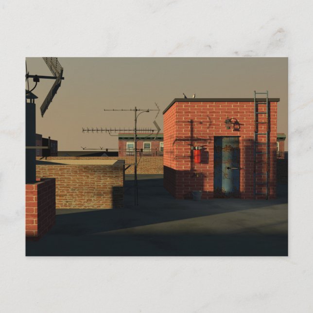 New York City roof Postcard (Front)