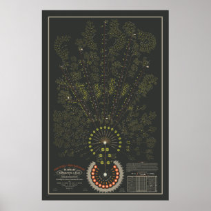 New York & Erie Railroad Org - Dark - Colour Poster