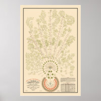 New York & Erie Railroad Org - Light - Colour