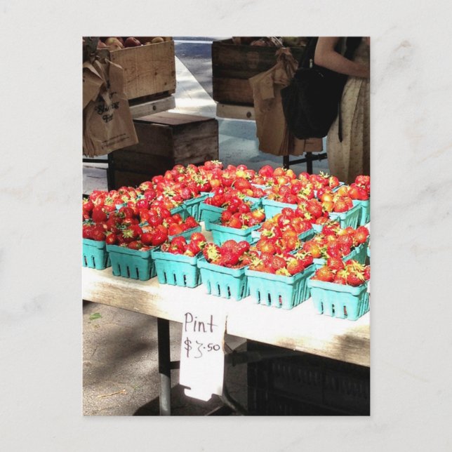 New York Greenmarket Farmers Market Strawberries Postcard (Front)