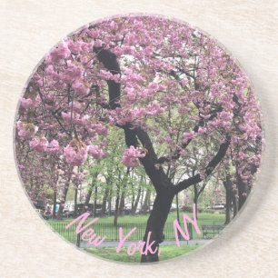New York, NY Pink Cherry Blossom Tree Manhattan Coaster