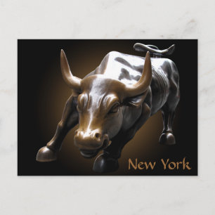 New York Postcard Bull Statue NYC Souvenir Card