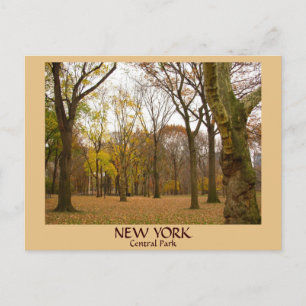 New York Postcards NYC Central Park Postcards