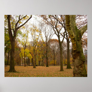 New York Poster New York Souvenir Posters & Prints