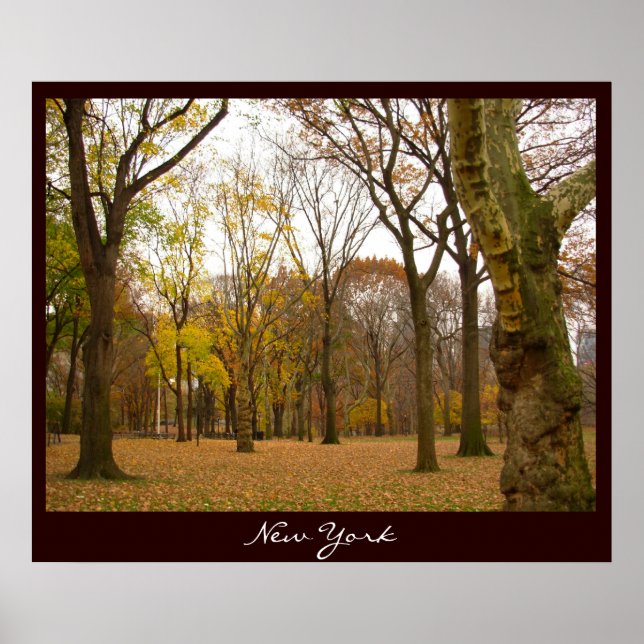 New York Poster New York Souvenir Posters & Prints (Front)