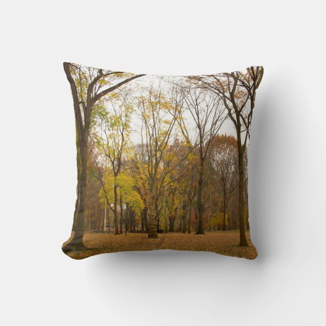 New York Souvenir Pillow NY Central Park Pillow (Front)