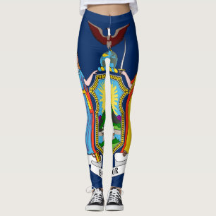 New York State flag Leggings