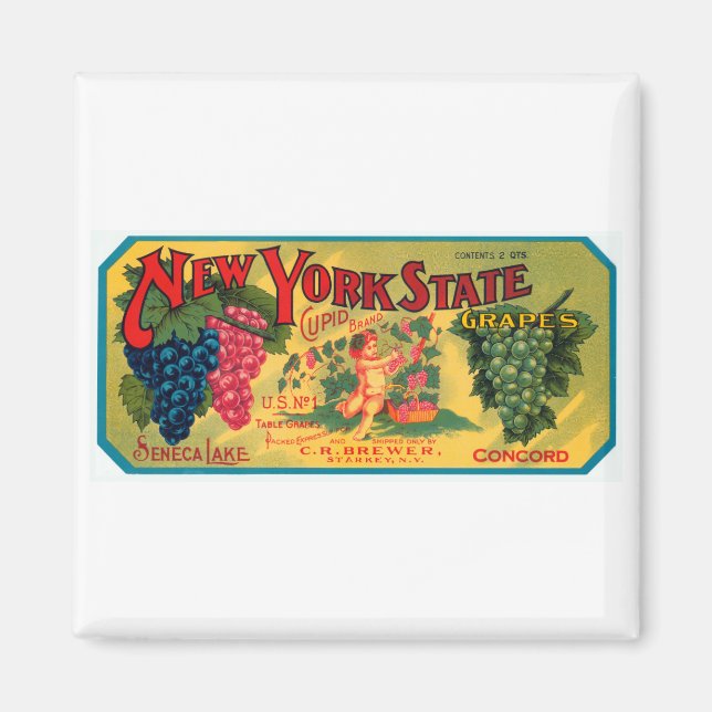 New York State Grapes Magnet (Front)