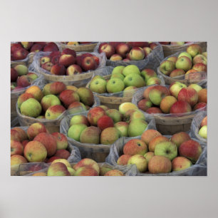 New York State Macintosh apples in baskets Poster