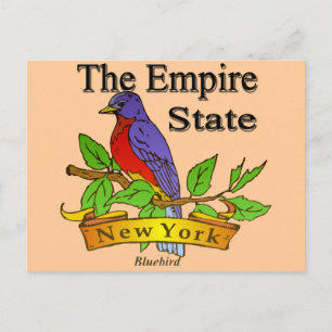 New York The Empire State Bird Postcard