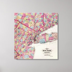 New York & vicinity Canvas Print