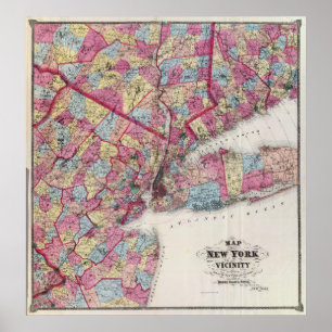 New York & vicinity Poster