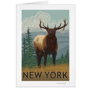 New YorkElk Scene