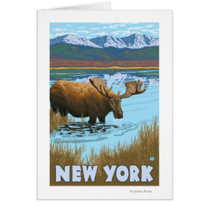 New YorkMoose Drinking in Lake